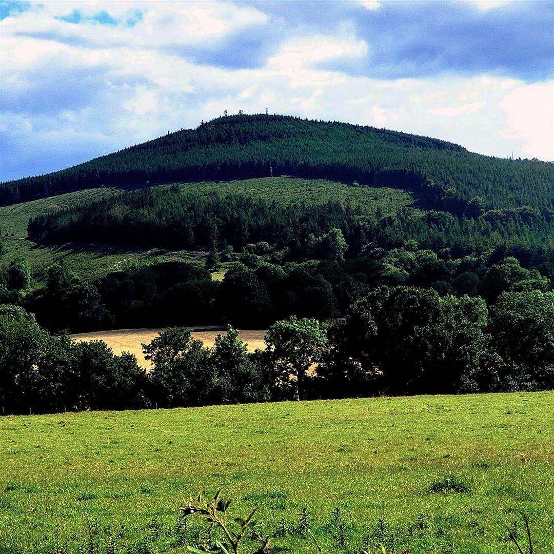 landscape photo of a forrested hill in Askamore where walking trails are located